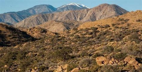 San Gorgonio Wilderness | Bureau of Land Management