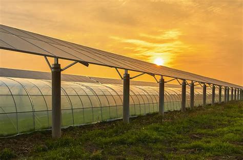 Agrivoltaics Combining Solar Panels And Agriculture Into A Win Win Re