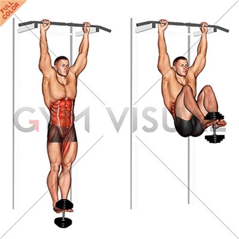 Weighted Hanging Leg Hip Raise