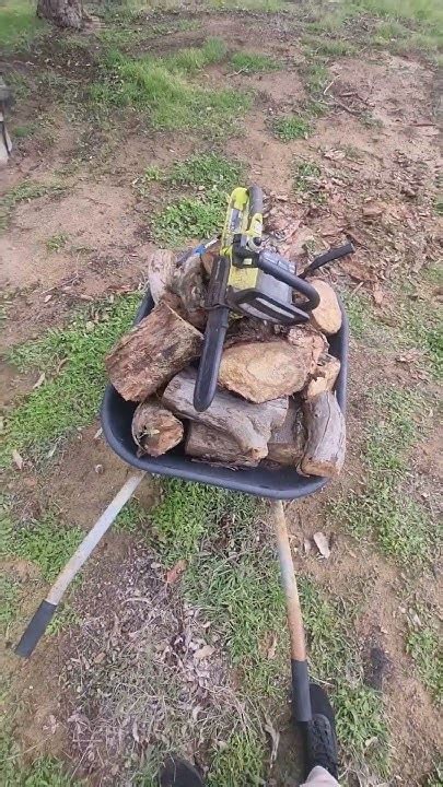 Morning Firewood Collection On The Homestead Homestead Farming