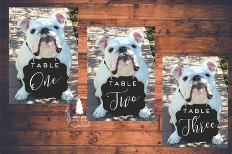 Pet Wedding Table Numbers Pet Table Numbers Pet Sign Pet Etsy