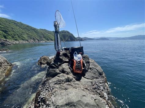 和歌山1091磯釣りモンスター｜和歌山の釣り・グレ釣り 自由に生きるフリーランスおきちゃんのブログ。フルマラソン記録更新中3時間44分