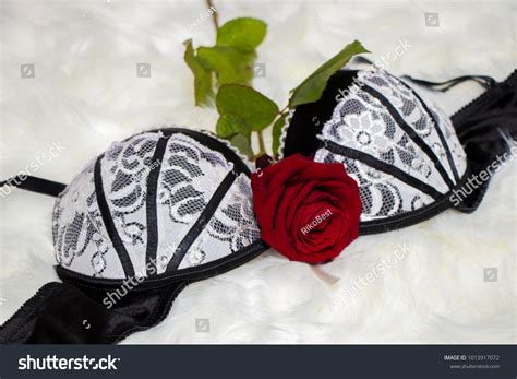 Sexy Black White Lingerie Red Rose Stock Photo 1013917072 Shutterstock