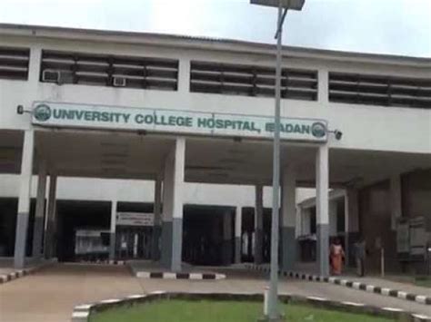 University Of Ibadan Medical School Shut Down | THEWILL