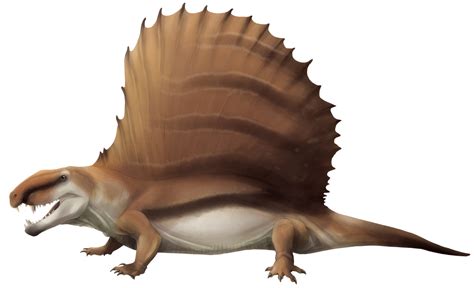 Dimetrodon By Rhunevild On Deviantart