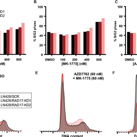 Synthetic Lethal Interactions With Checkpoint Kinases In Human Tumor