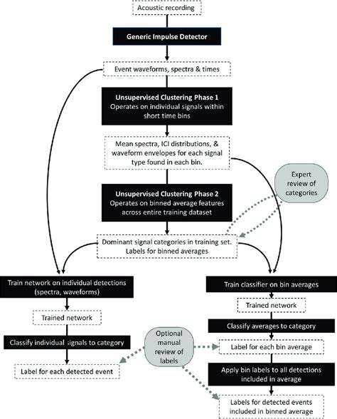 Flowchart Describing The Machine Learning Supported Workflow White Download Scientific Diagram