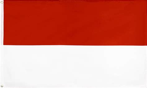 Vlagdirect Indonesische Vlag Indonesia Vlag X Cm Bol