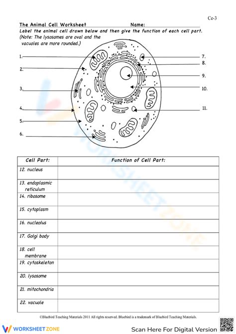 The Animal Cell Worksheet Worksheet Worksheets Library