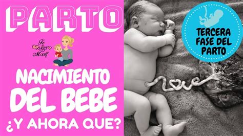 Parto Nacimiento Del Bebe ¿y Ahora Que Tercera Fase Del Parto