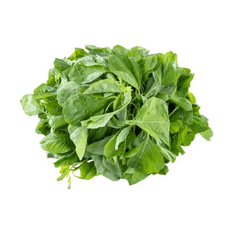 Thai Spinach Shoot Order Ingredients Online Freshket