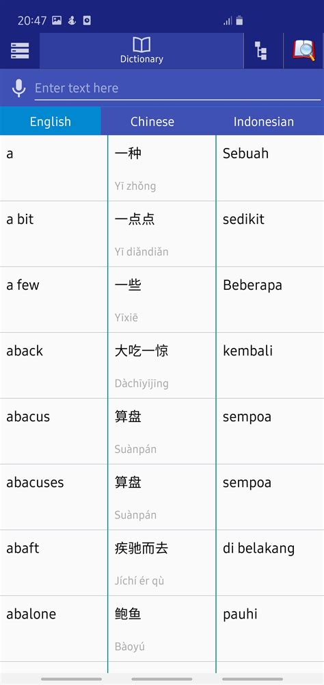 chinese indonesian dictionary apk  android