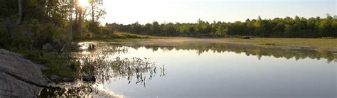 Welcome To Murphys Point Provincial Park