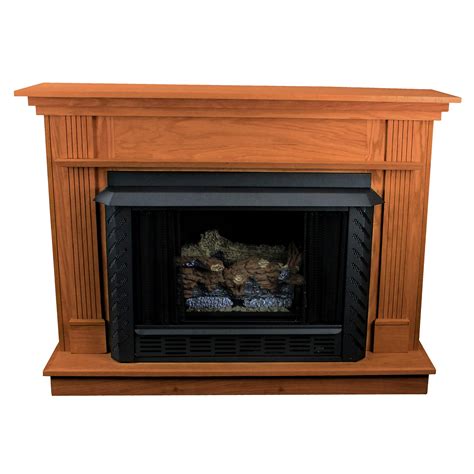 Ashley Hearth Vent Free Propane Fireplace | Wayfair