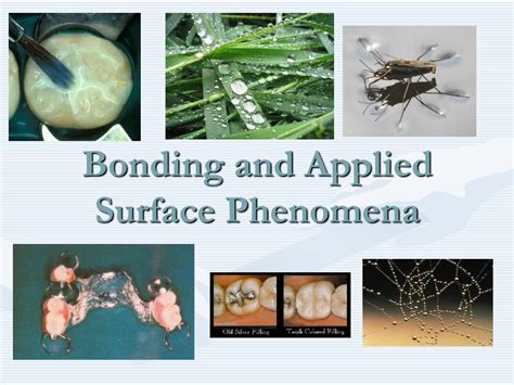 Pdf Bonding And Applied Surface Phenomena Mechanisms Of