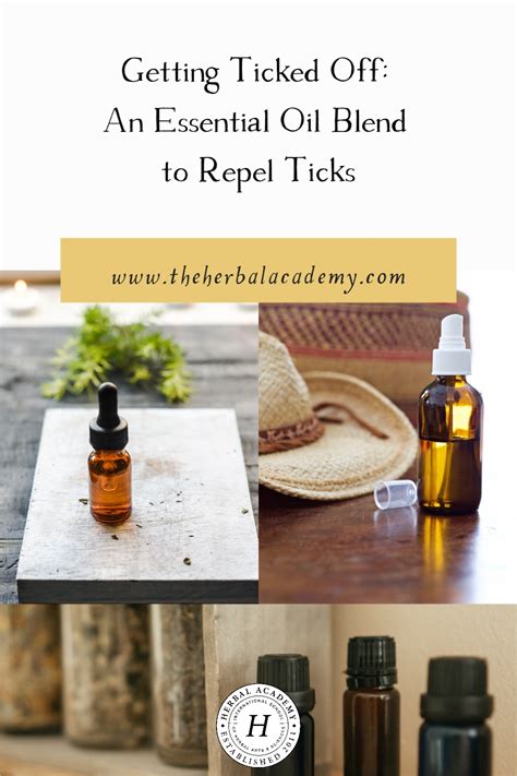 Getting Ticked Off An Essential Oil Blend To Repel Ticks Herbal Academy