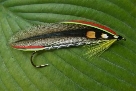 Pin by julian Muñoyerro on Streamers | Fly tying patterns, Fly tying, Fly fishin