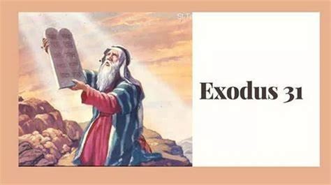 Exodus Berean Study Bible Freebiblestudyhub