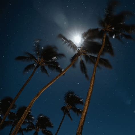 Hawaii Lighting - Meeting Lighting Ordinances in Hawaii