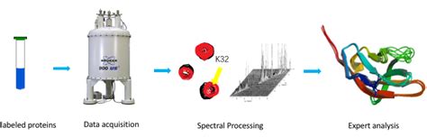 Nuclear Magnetic Resonance Nmr Platform Creative Biostructure