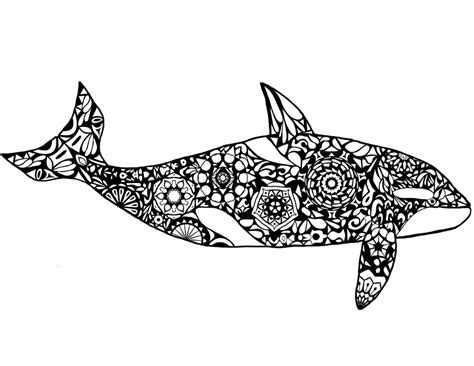 Whale Outline Drawing at PaintingValley.com | Explore collection of ...