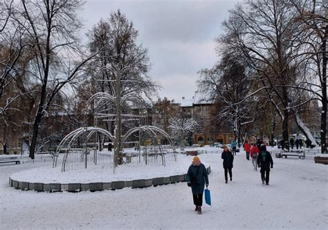 Dzień dobry Katowice Dzisiaj akcja rozdawania choinek dla dawców krwi