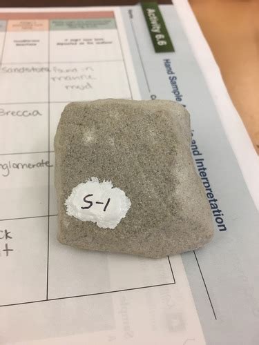 Sedimentary Rocks Flashcards Quizlet