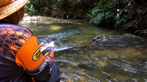 Memahami Asas Pancingan Aliran Jeram Stream Fishing Ultralight