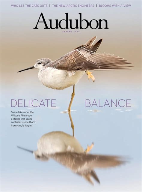 Audubon Spring Digital Discountmags