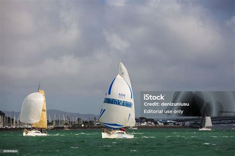 Route 66 Coastal Race Stock Photo - Download Image Now - Activity, Aquatic Sport, Auckland - iStock