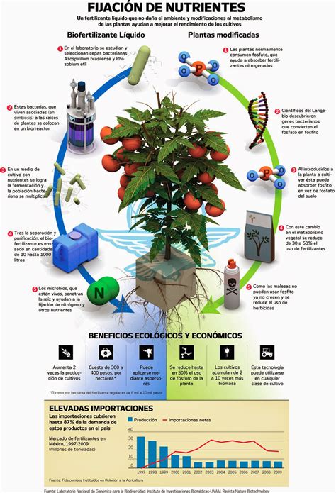 Infograf A E Ilustraci N Biofertilizantes