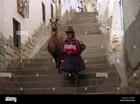 Woman Female Indigenous Indigena Indian Quechua Fotograf As E Im Genes