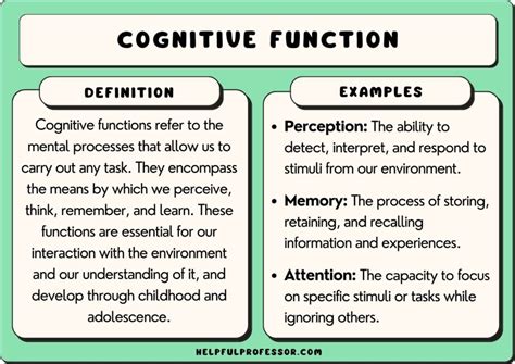 25 Cognitive Function Examples 2025