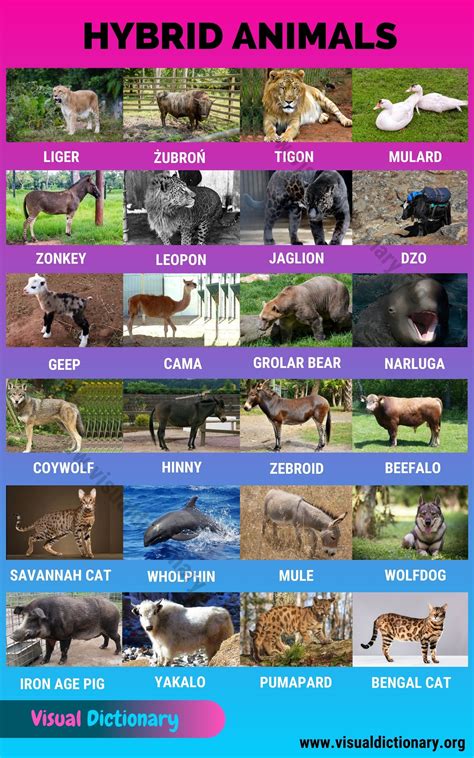 Real Animals With Names