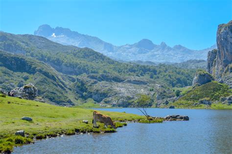 Roteiro De 5 Dias No Parque Picos De Europa Espanha Fabi Gama