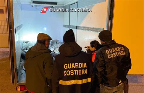 La Guardia Costiera Di Ravenna Sequestra Una Tonnellata Di Tonno Rosso