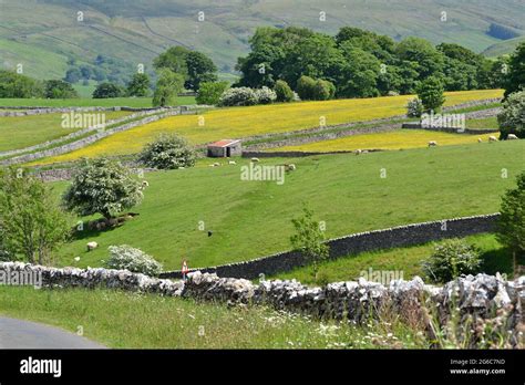 Cumbrian Countryside Hi Res Stock Photography And Images Alamy