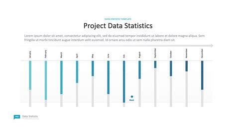 Data Analytics Presentation Templates