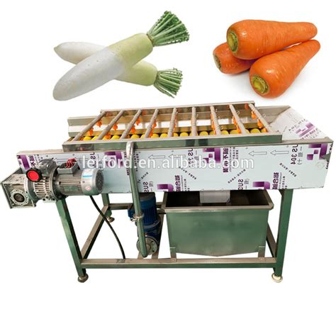 Roller Brush Type Konjac Taro Potato Washing Peeling Machine Vegetable