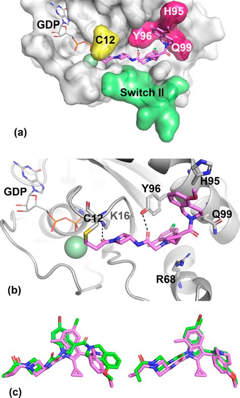 X Ray Cocrystal Structure Of Advanced Lead 1 Pink PDB Code 6P8Z In