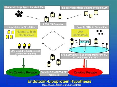 Possible Mechanisms to Explain the OBESITY Paradox - ppt download