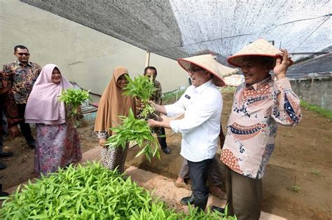 Wujudkan Ketahanan Pangan Bakri Siddiq Ajak Warga Manfaatkan