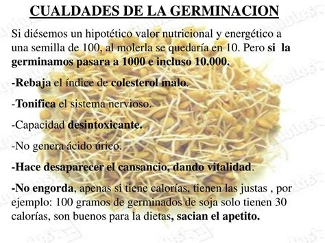 Ppt Que Es La Germinacion Es El Proceso De Obtenci N De Alimentos