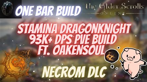 ESO One Bar Stamina Dragonknight Stamdk 93k DPS PVE Build Ft