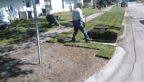 Planting A Lawn With St Augustine Sod I Love Turf