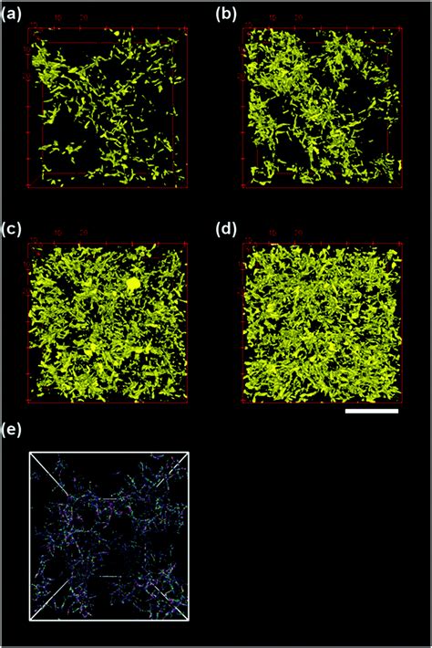 Shear Driven Vorticity Aligned Flocs In A Suspension Of Attractive