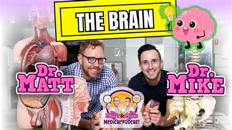 The Brain | Podcast - YouTube