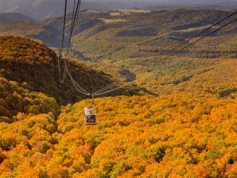 hakkoda_mountains_ropeway_in_autumn | Kyuhoshi