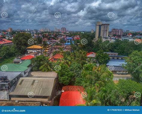 Kochi Outdoor Nature Buildings Tree Stock Photo Image Of Tree