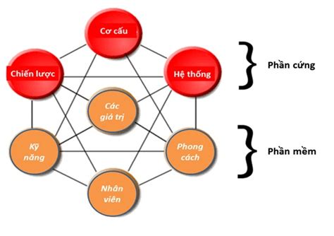 Ưu Nhược điểm Của 3 Mô Hình Quản Trị Doanh Nghiệp Hiện đại Nhất Hiện Nay Vinaseco